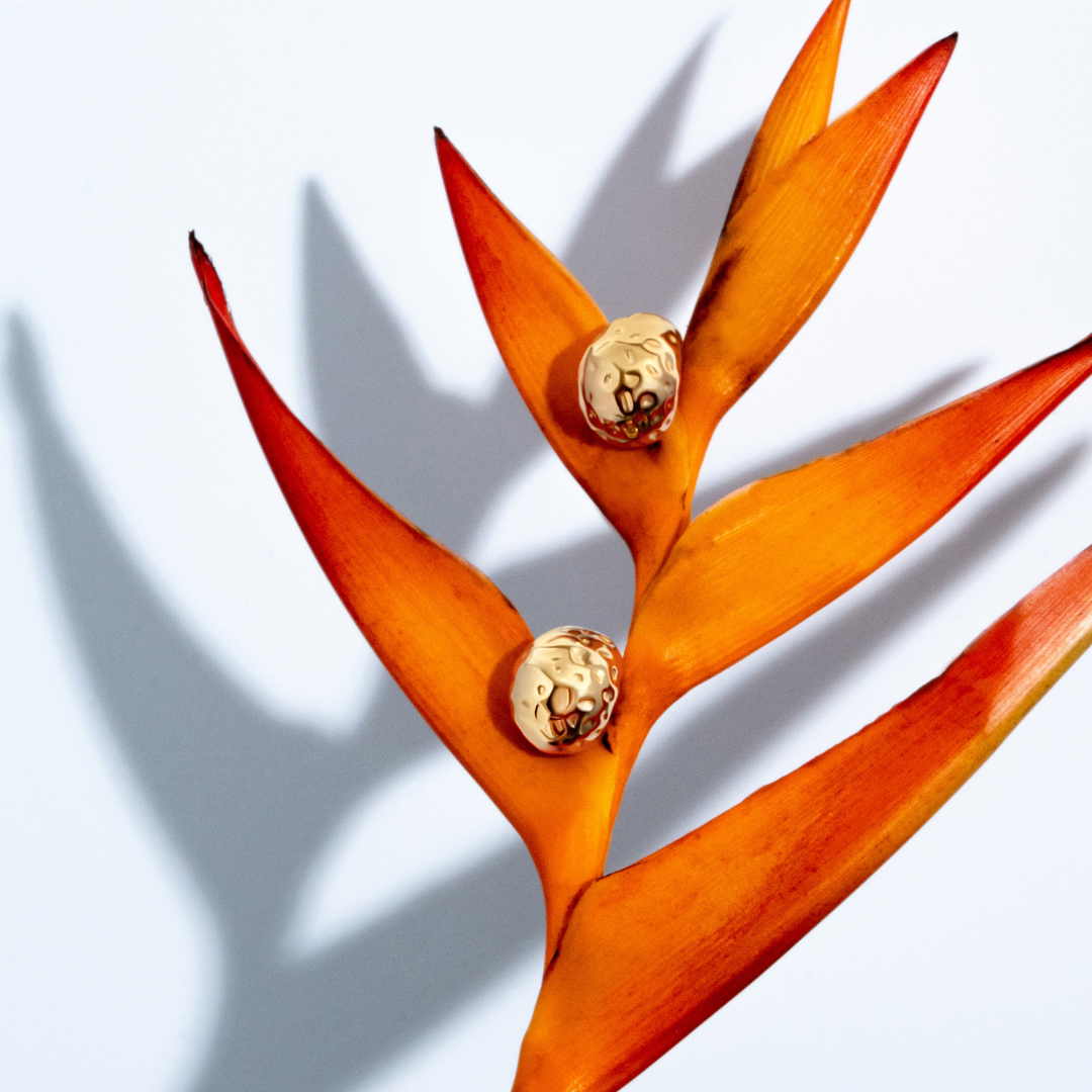 Denise Pacini Collins Gold Earrings