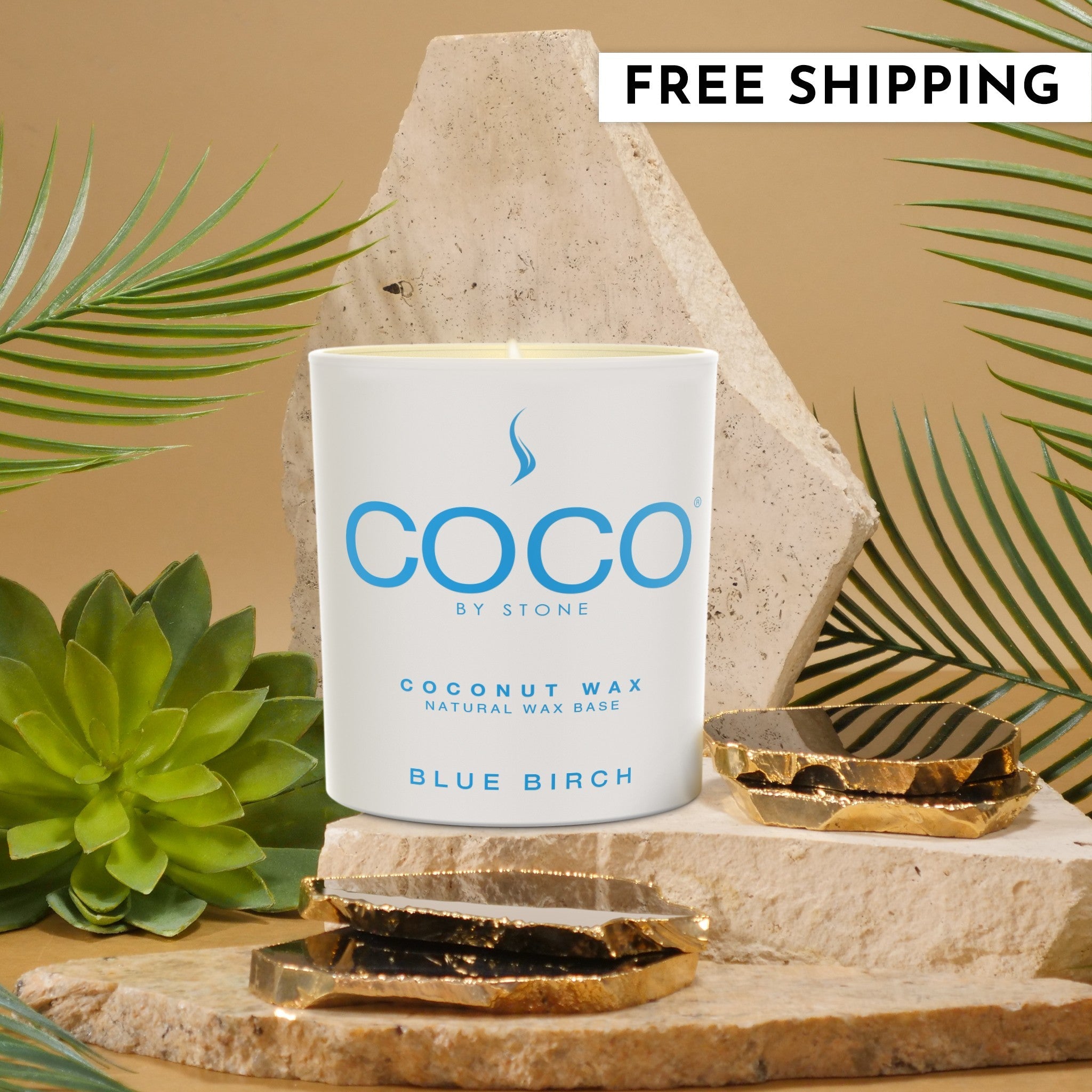 Blue Birch Natural Coconut Apricot Wax Candle
