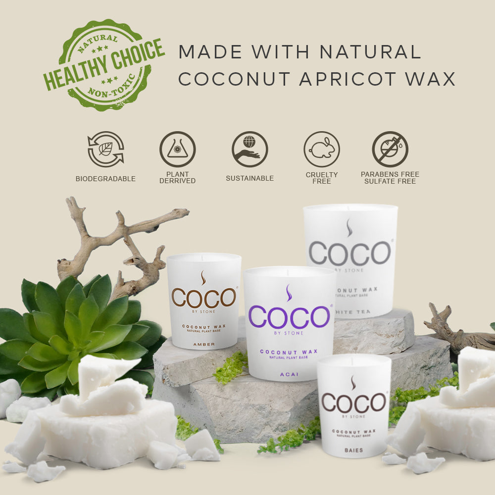 Black Currant Natural Coconut Apricot Wax Candle