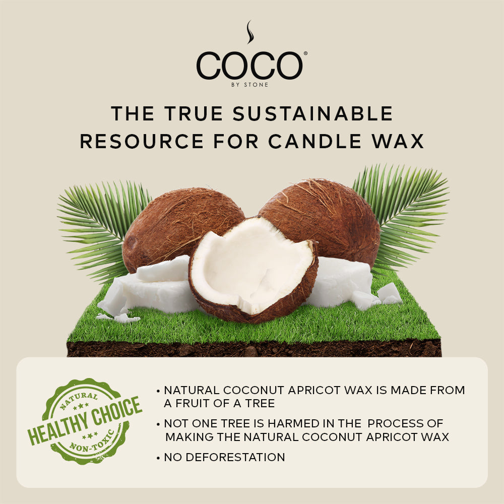Amber Natural Coconut Apricot Wax Candle