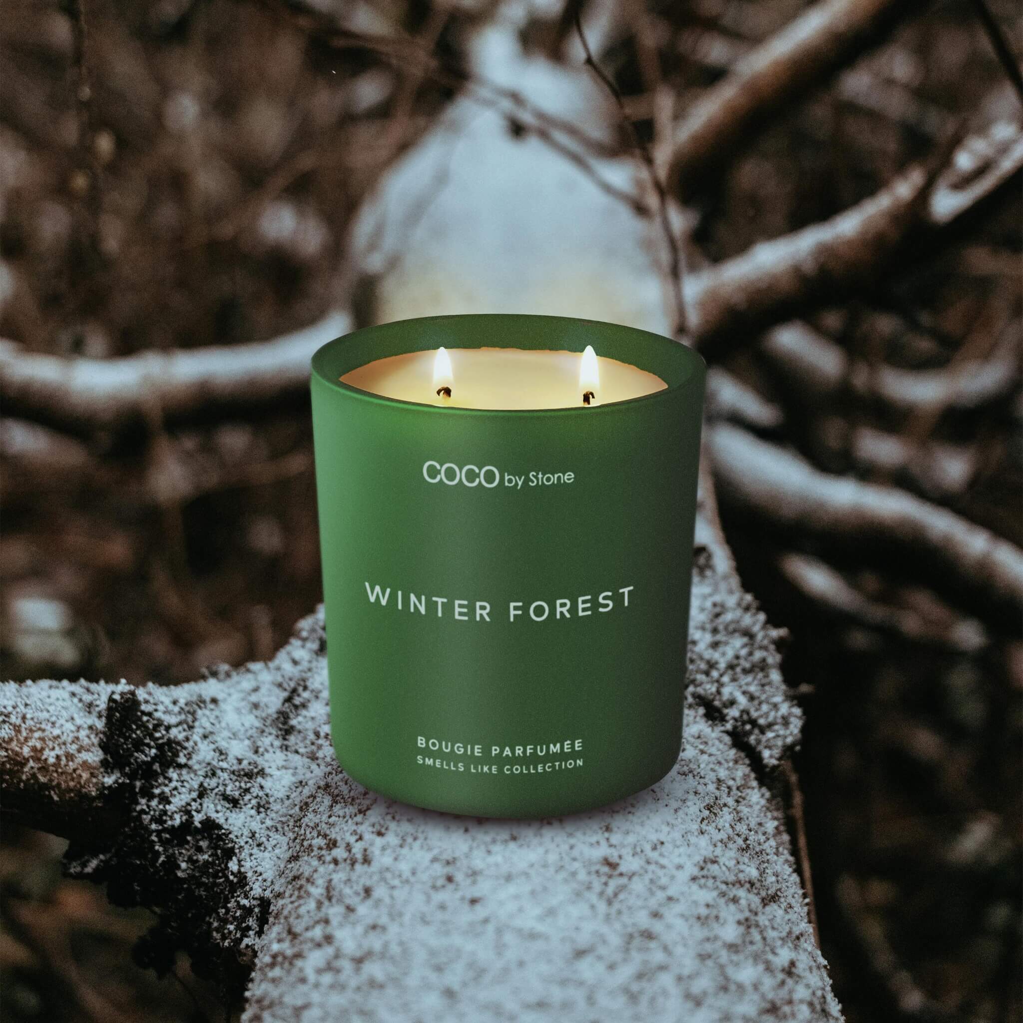 11oz Smells Like Winter Forest Candle