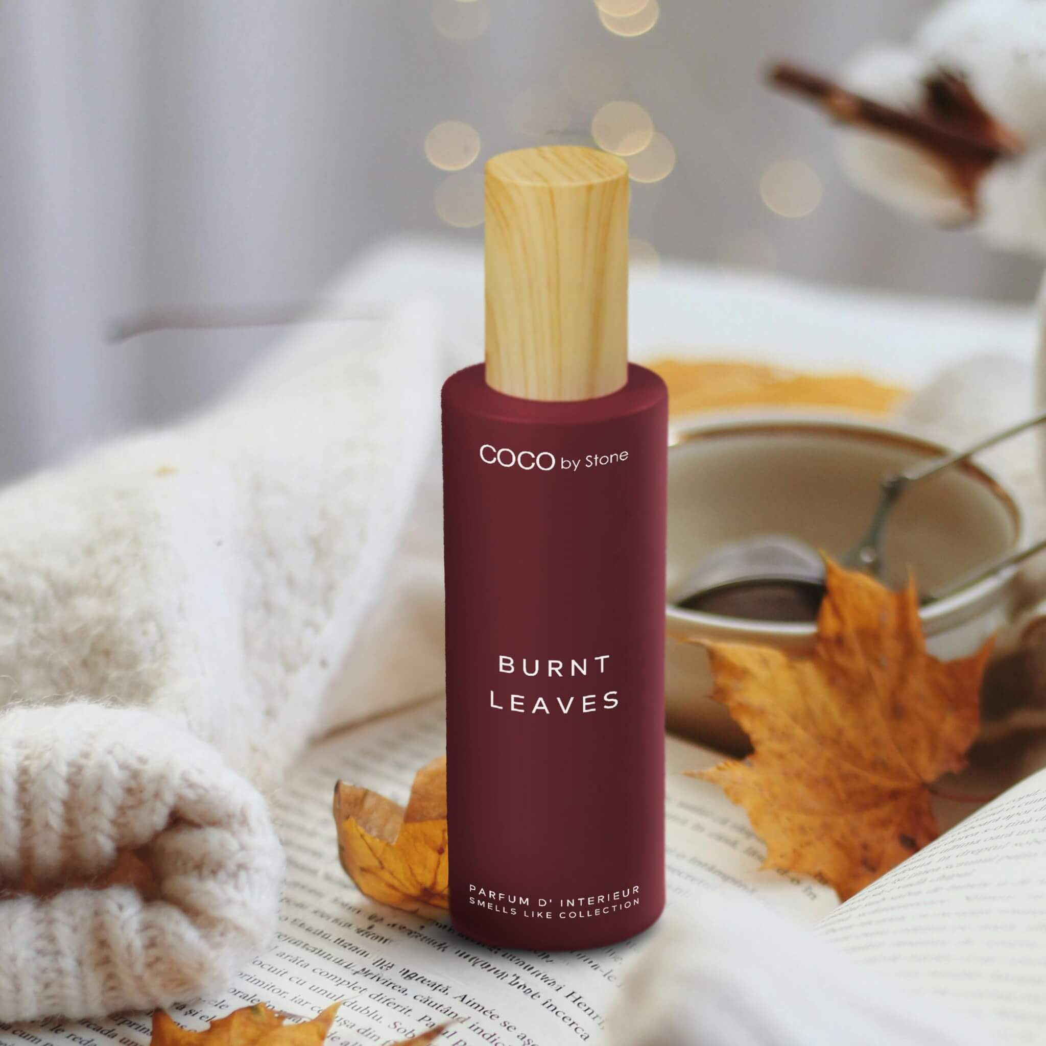 5oz Smells Like Burning Leaves Room Spray