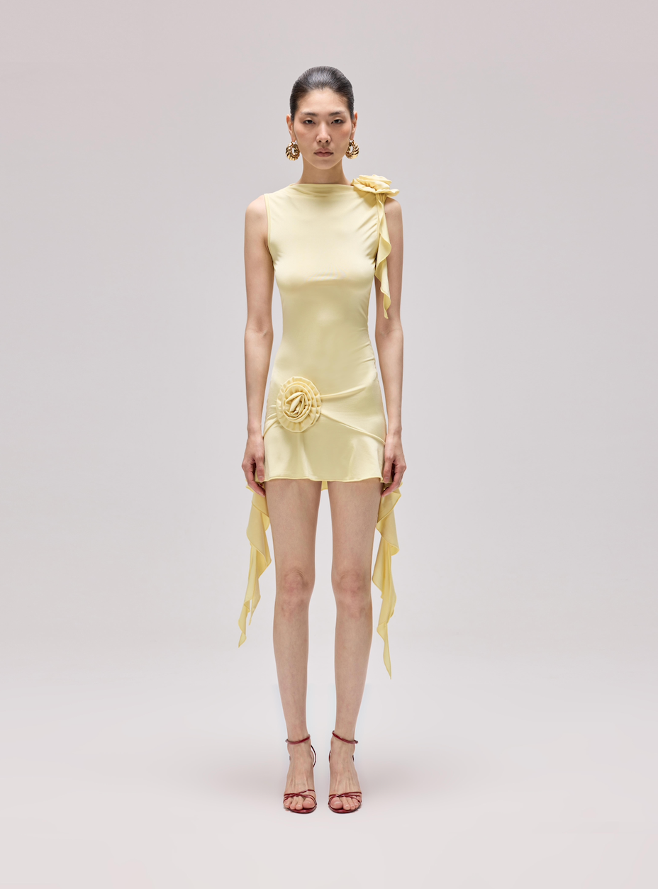 Herfetch Fetch Dress