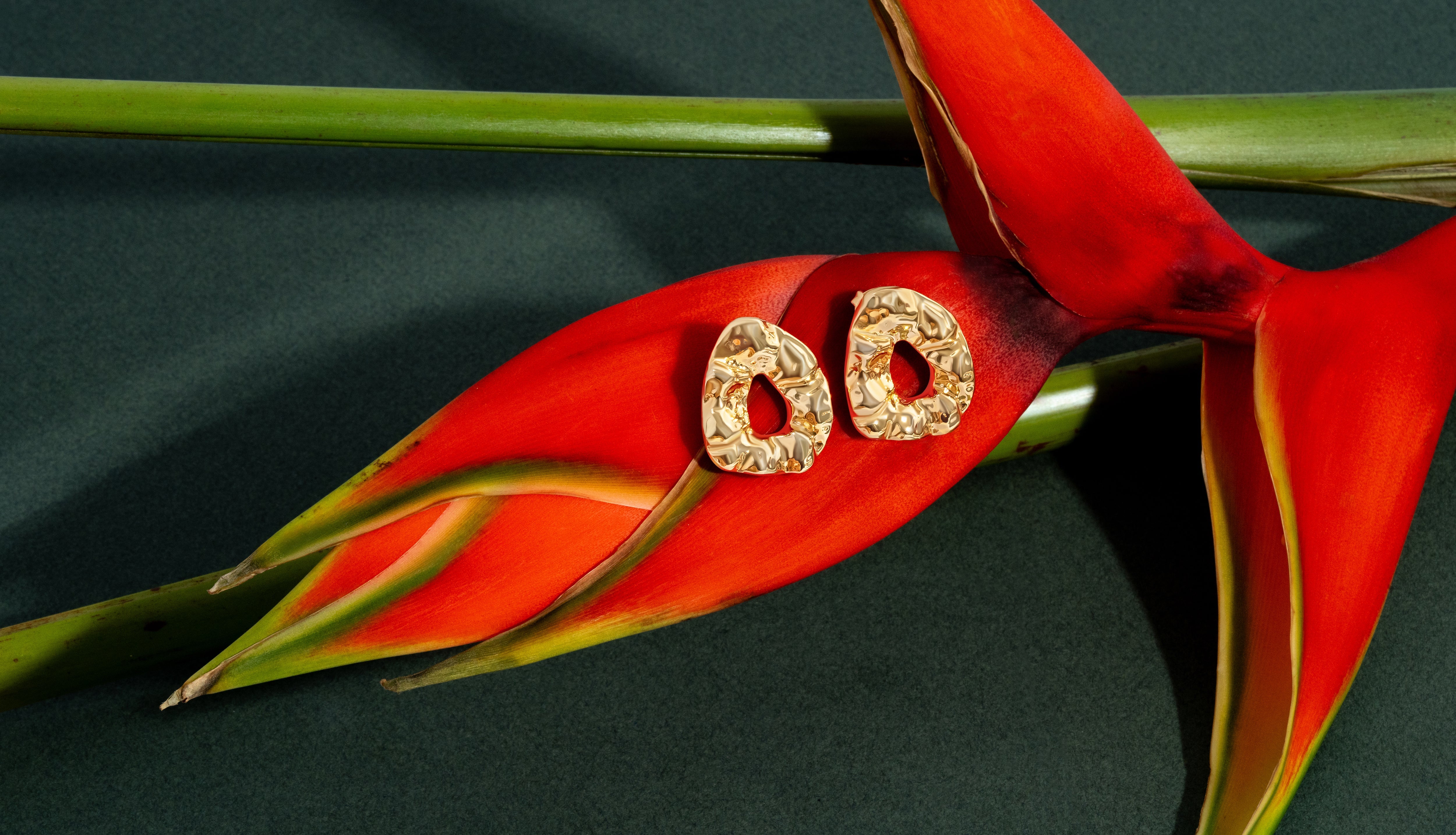 Denise Pacini Nathalia Sculpted Hammered Earrings