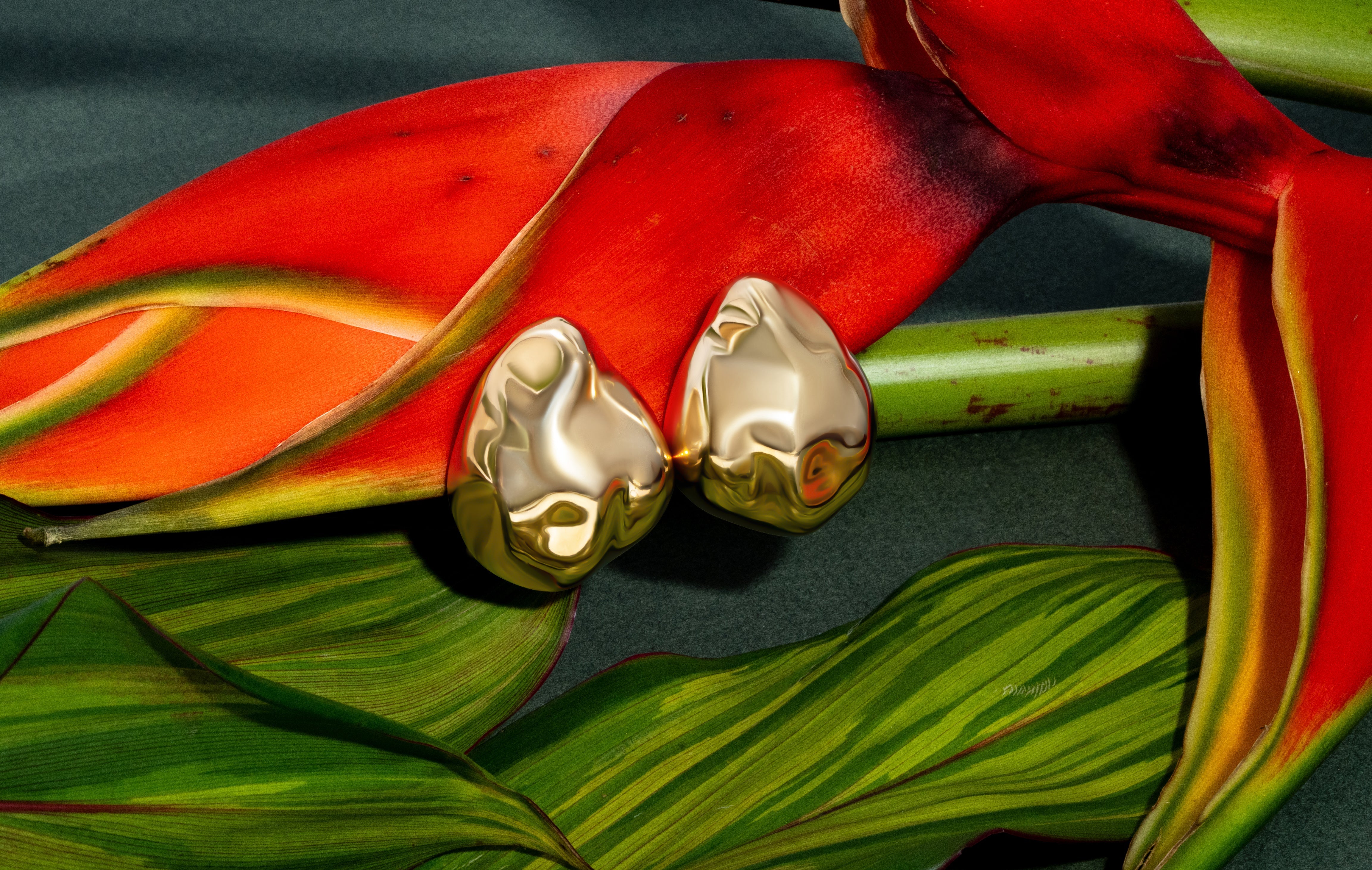 Denise Pacini Giselle Dented Dome Earrings