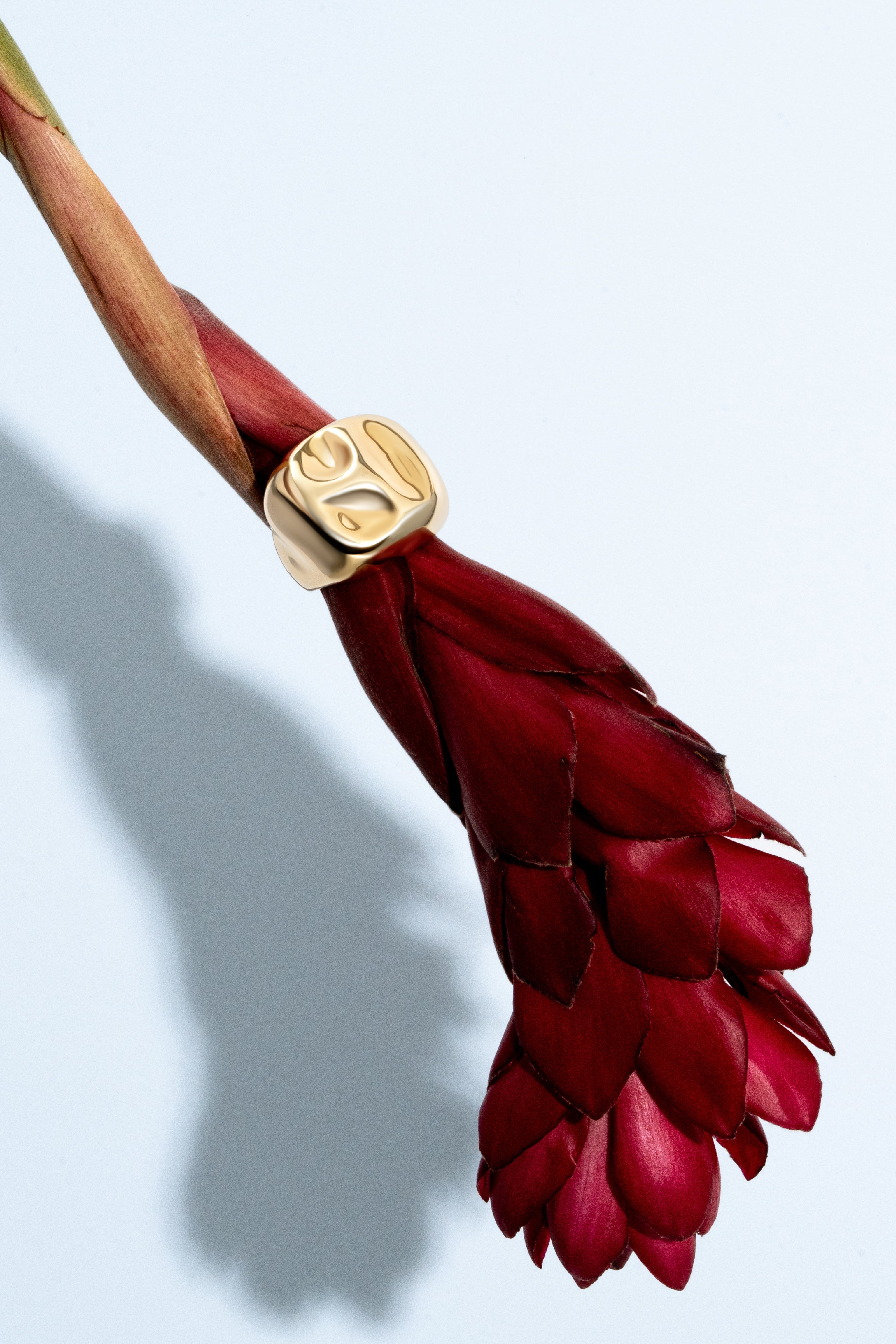 Denise Pacini Sara Gold Ring