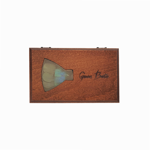 Genius Bowtie Boticelli Bow Tie