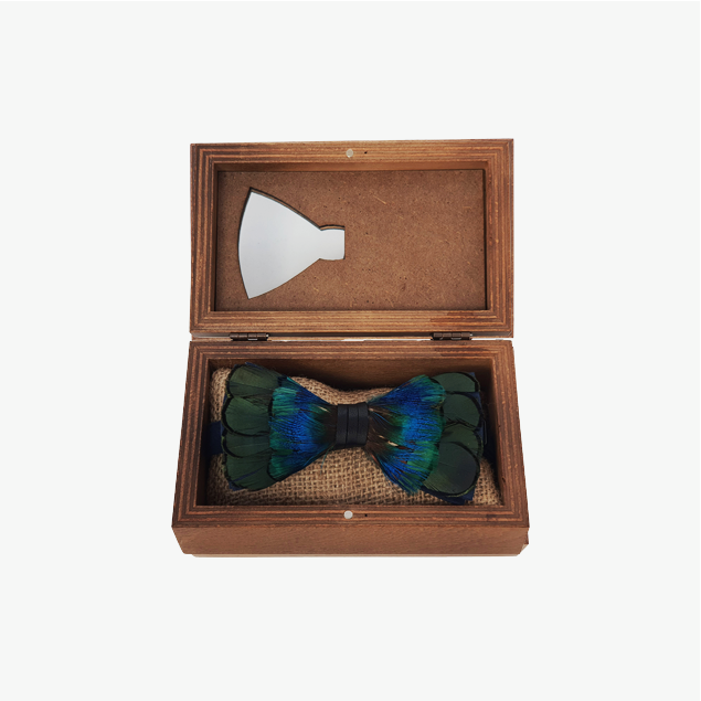 Genius Bowtie Boticelli Bow Tie