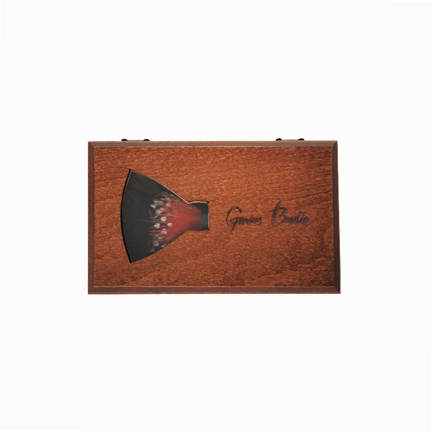 Genius Bowtie Copernicus Bow Tie