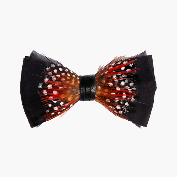 Genius Bowtie Copernicus Bow Tie