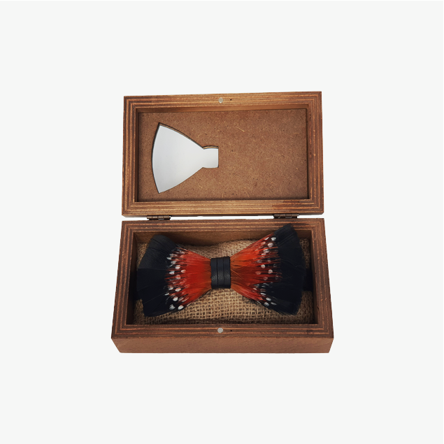 Genius Bowtie Copernicus Bow Tie