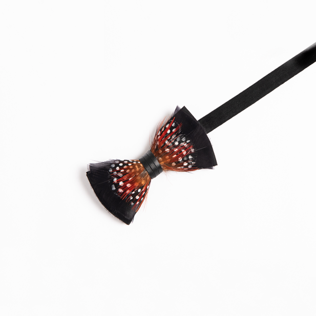 Genius Bowtie Copernicus Bow Tie