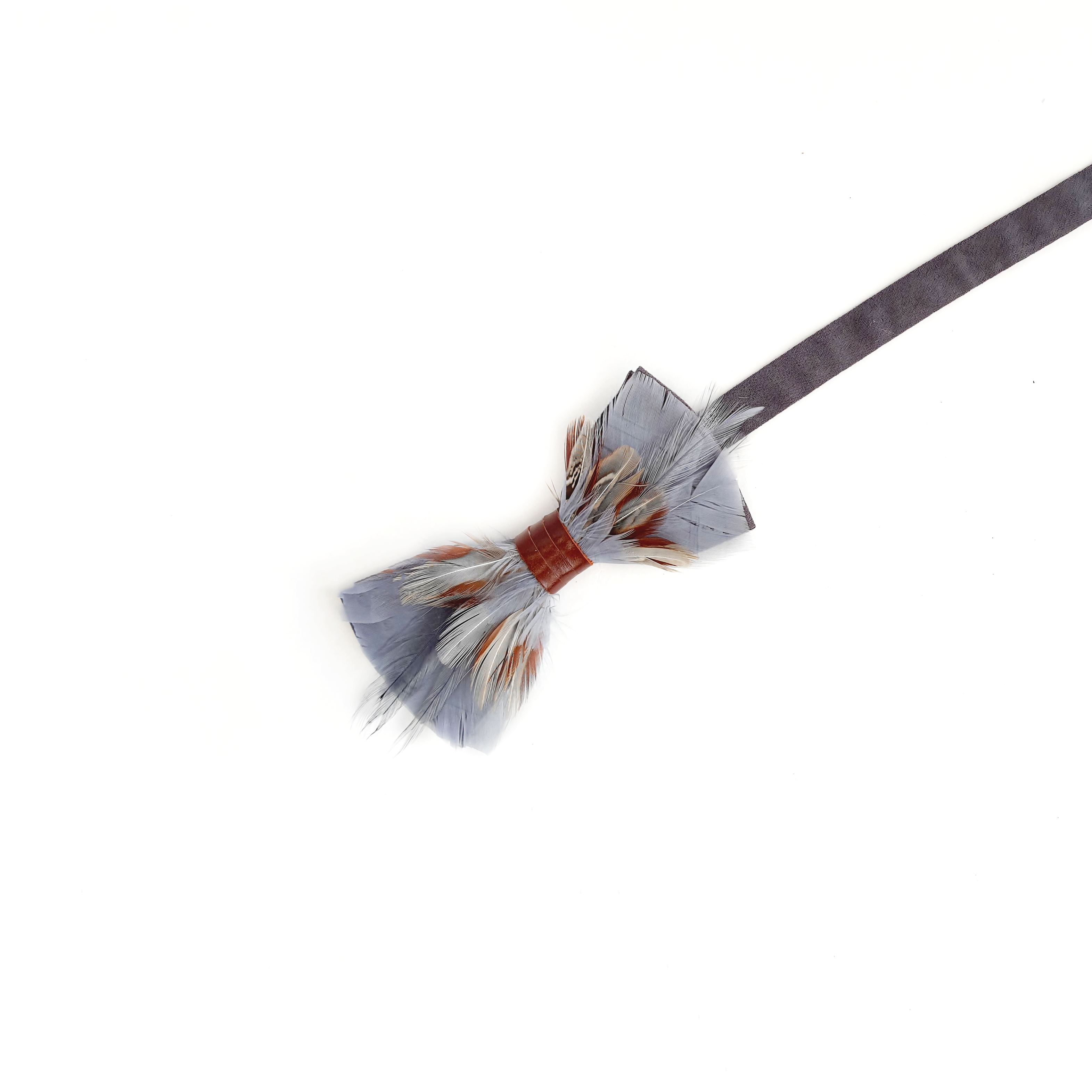 Genius Bowtie Einstein Bow Tie