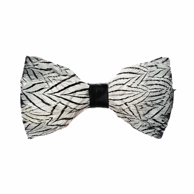 Genius Bowtie Freud Bow Tie