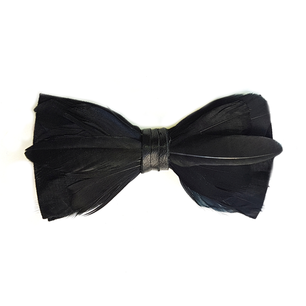 Genius Bowtie Hawking Black Bow Tie