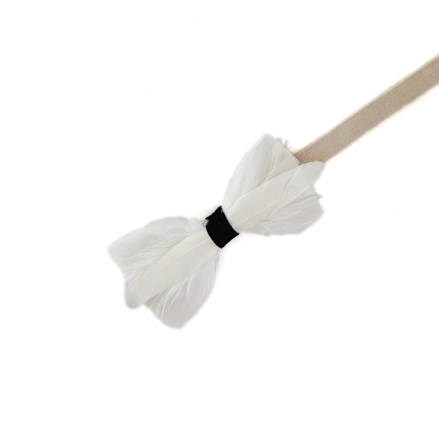 Genius Bowtie Hawking White Bow Tie