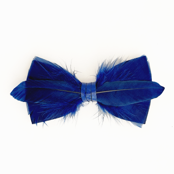 Genius Bowtie Hawking Navy Blue Bow Tie