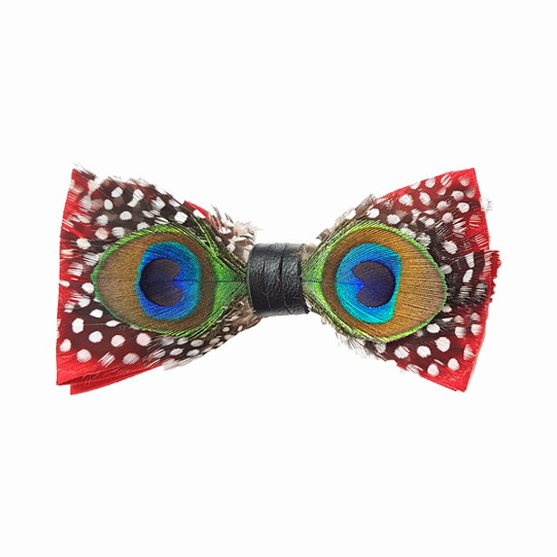 Genius Bowtie Mozart Bow Tie