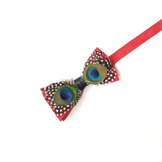 Genius Bowtie Mozart Bow Tie