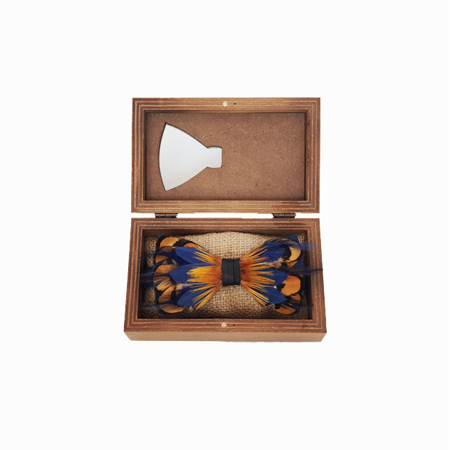 Genius Bowtie Pasteur Bow Tie
