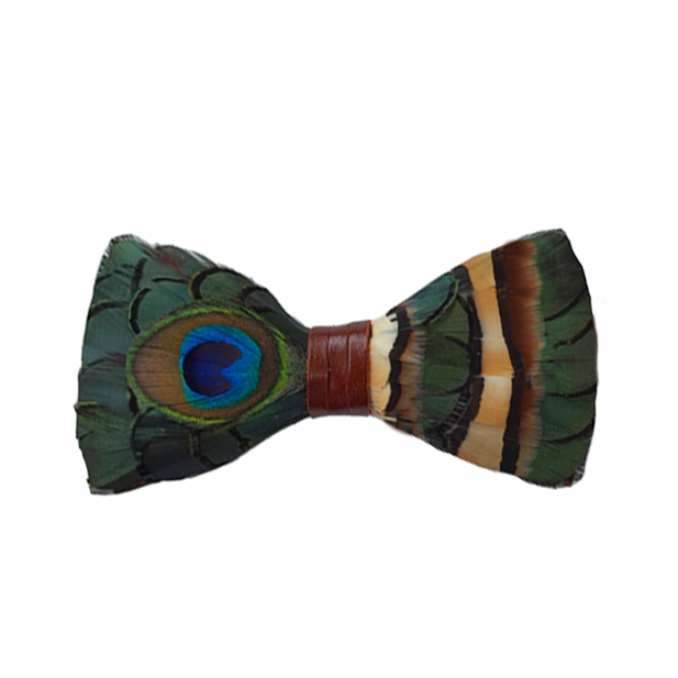 Genius Bowtie Plato Bow Tie