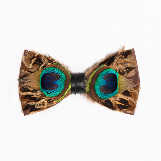 Genius Bowtie Pythagoras Bow Tie