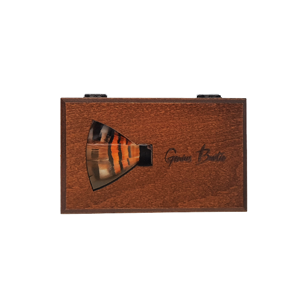 Genius Bowtie Pasteur Bow Tie