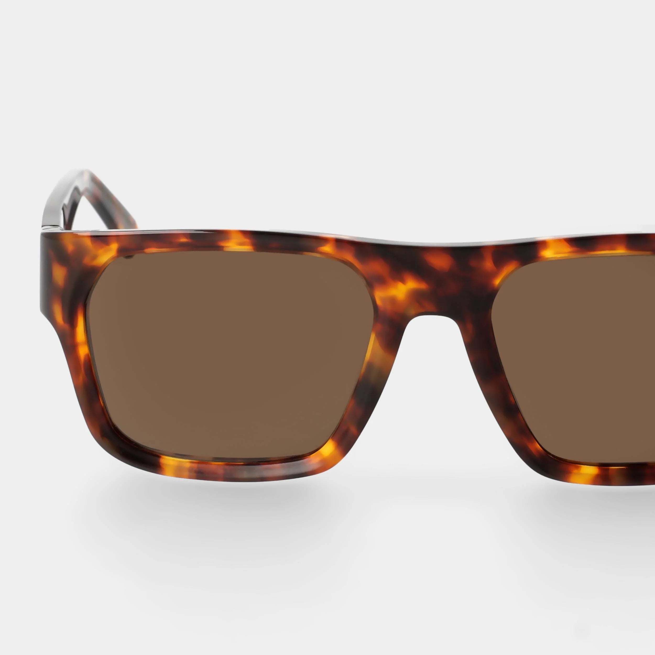 TBD Eyewear Elm Eco Spotted Havana Tobacco Lens Sunglasses Detail