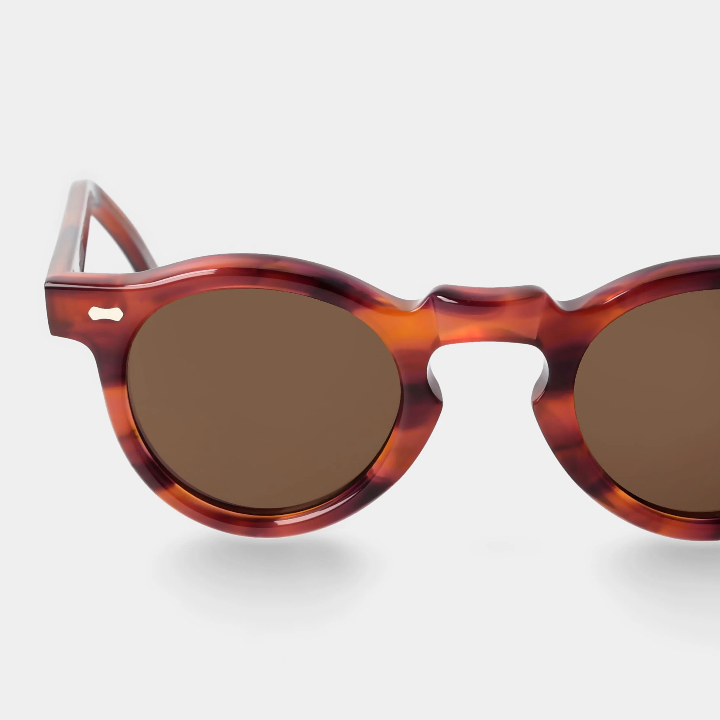 TBD Eyewear Welt Eco Havana Tobacco Lens Sunglasses Detail