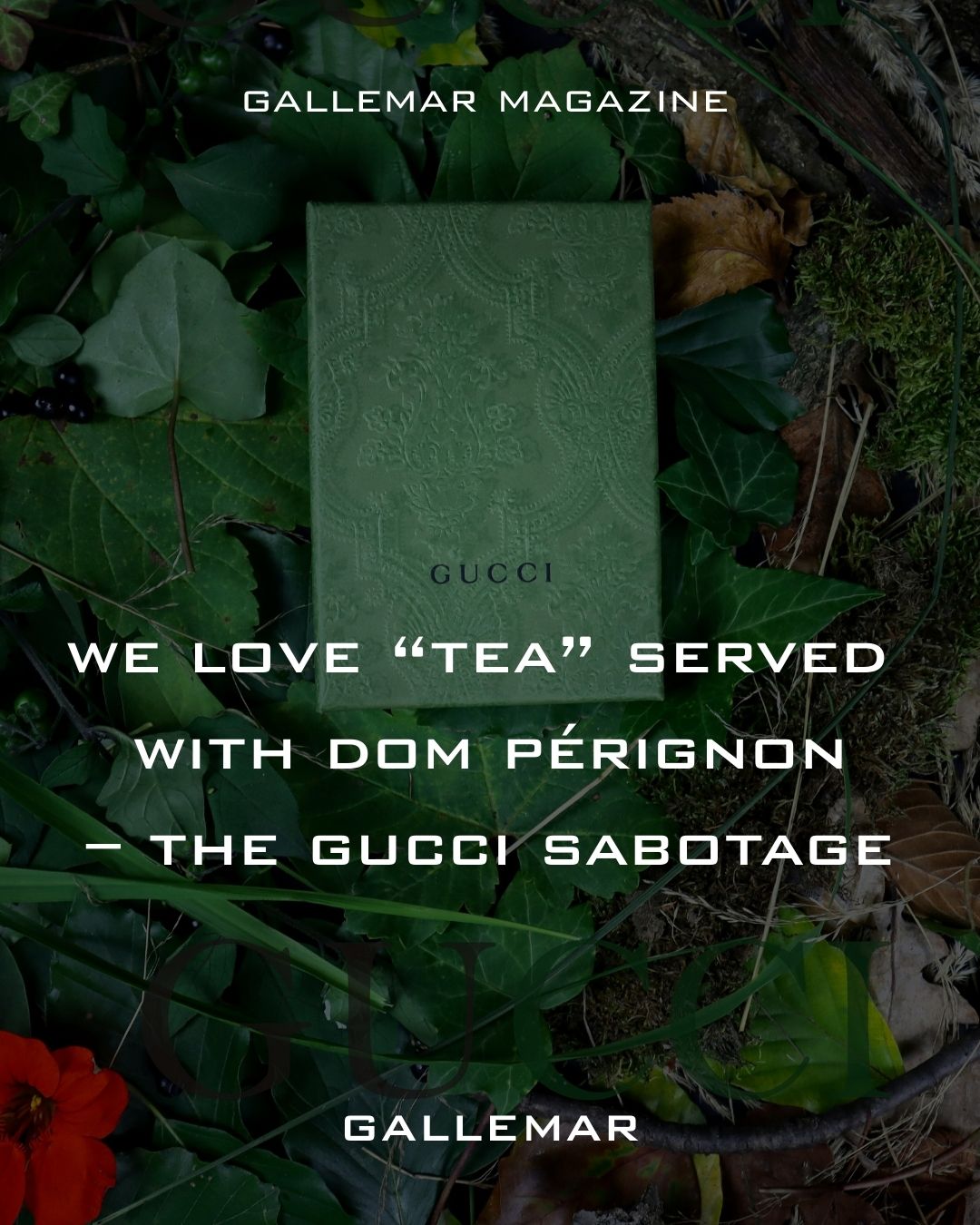 We Love “Tea” Served with Dom Pérignon — The Gucci Sabotage