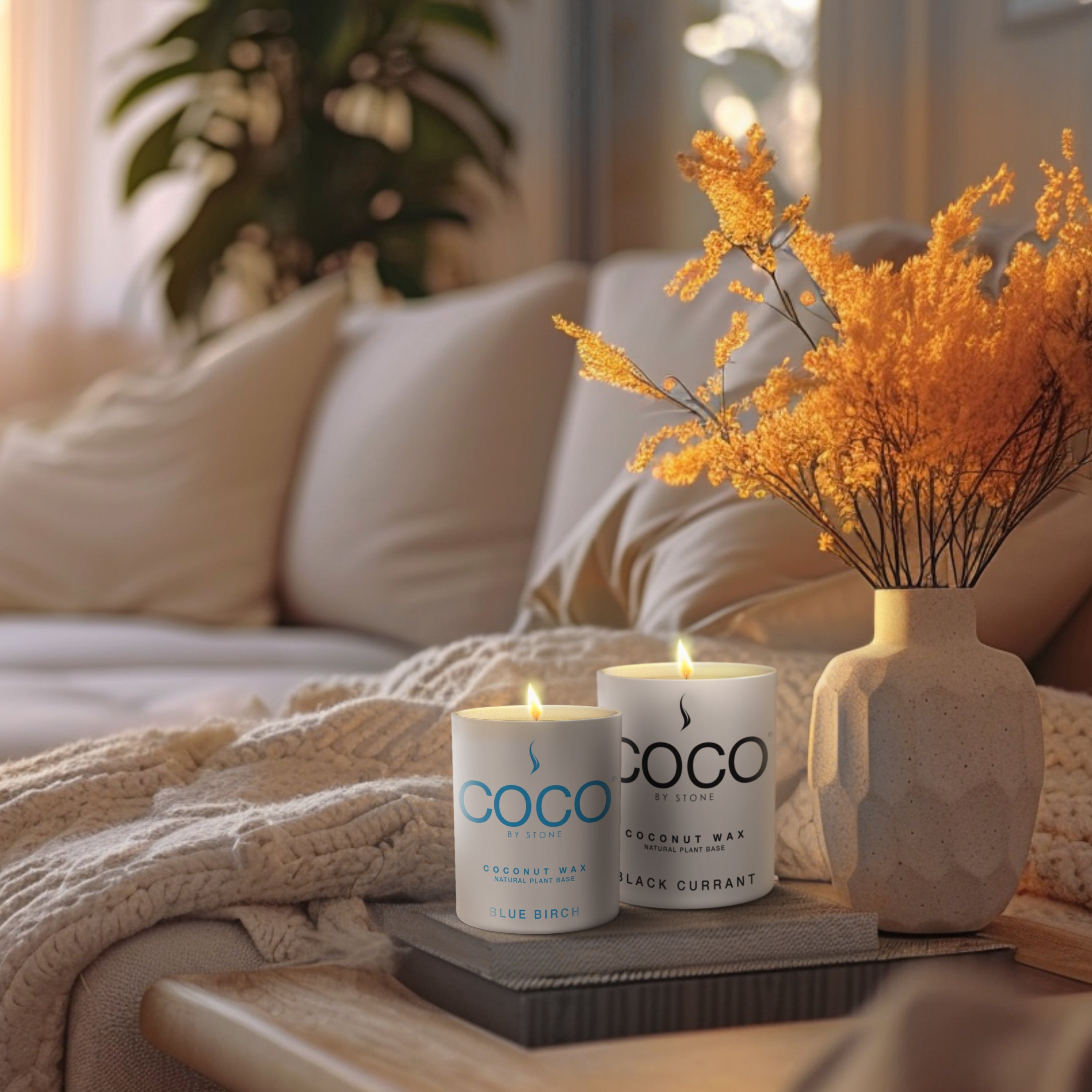 Santal Natural Coconut Apricot Wax Candle