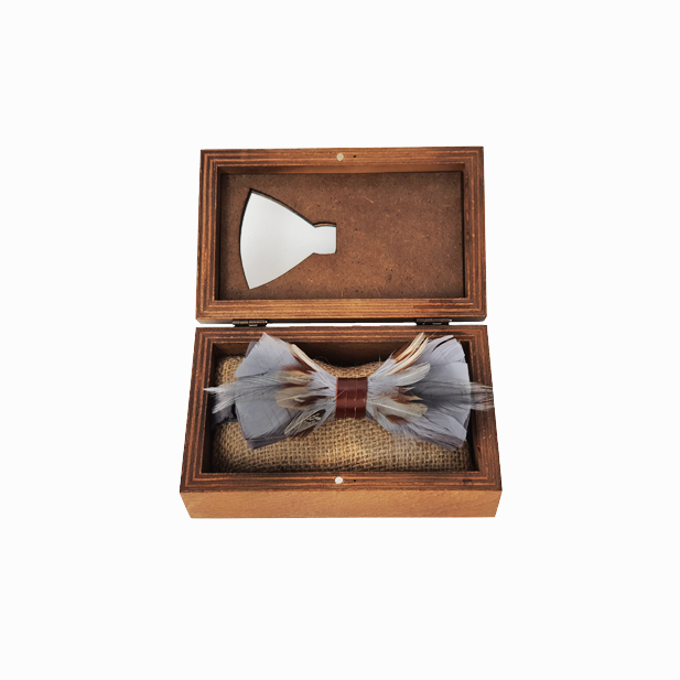 Genius Bowtie Einstein Bow Tie