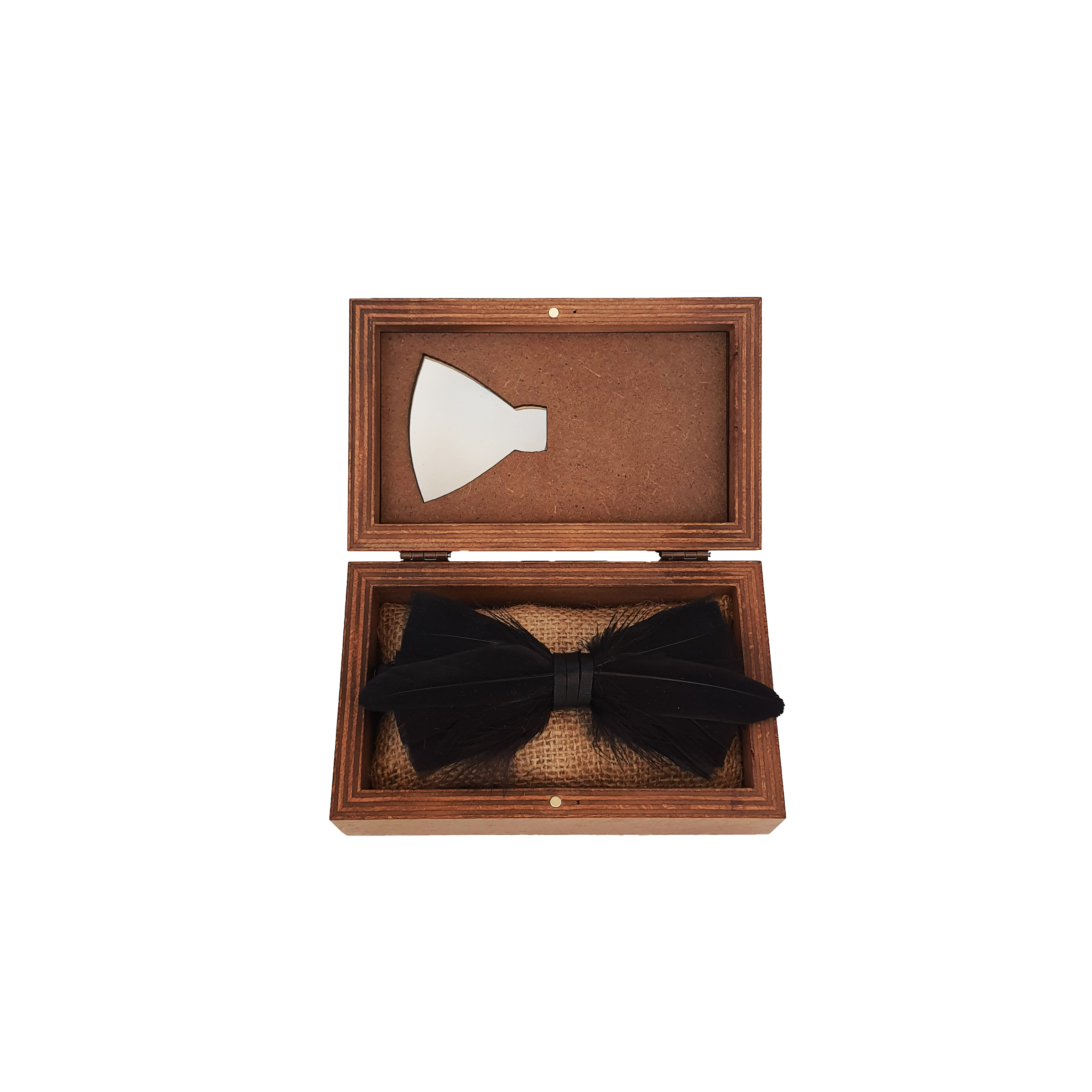Genius Bowtie Hawking Black Feather Bow Tie