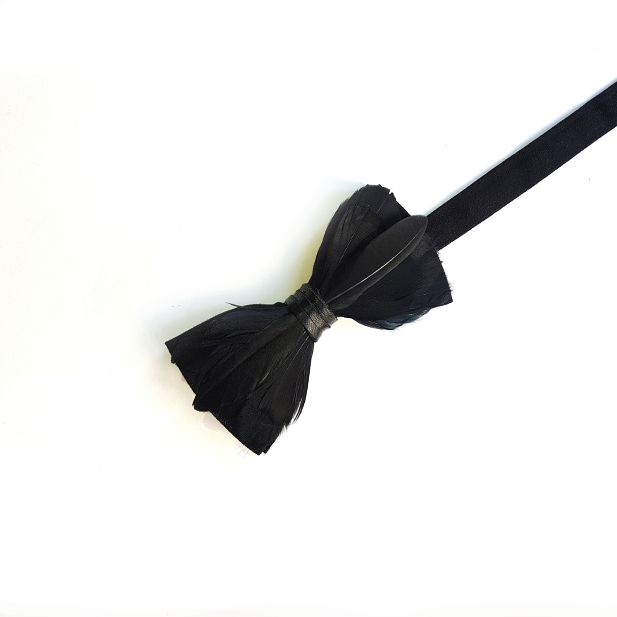 Genius Bowtie Hawking Black Bow Tie
