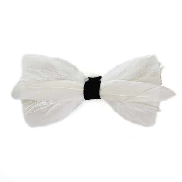 Genius Bowtie Hawking White Bow Tie
