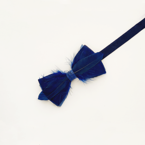 Genius Bowtie Hawking Navy Blue Bow Tie