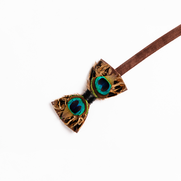 Genius Bowtie Pythagoras Bow Tie