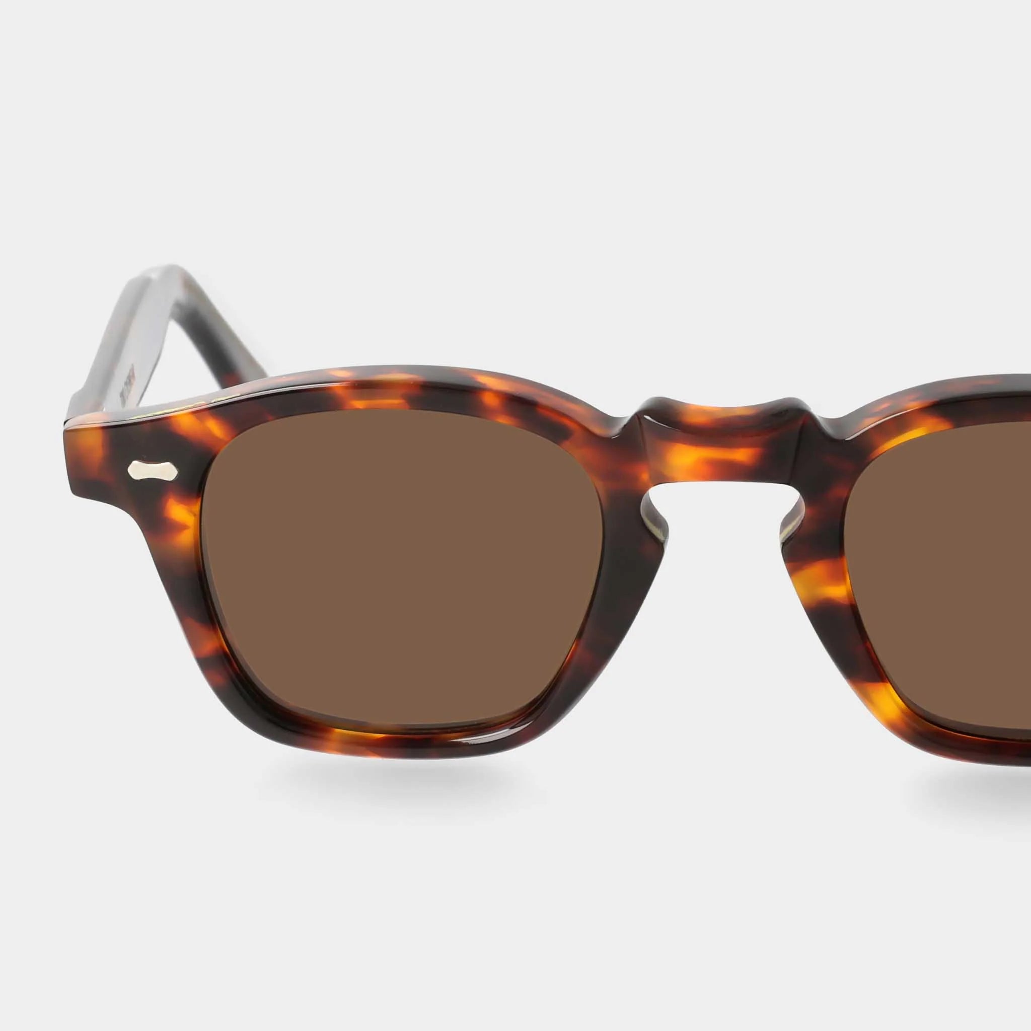 TBD Eyewear Cord Eco Spotted Havana Tobacco Lens Sunglasses Detail