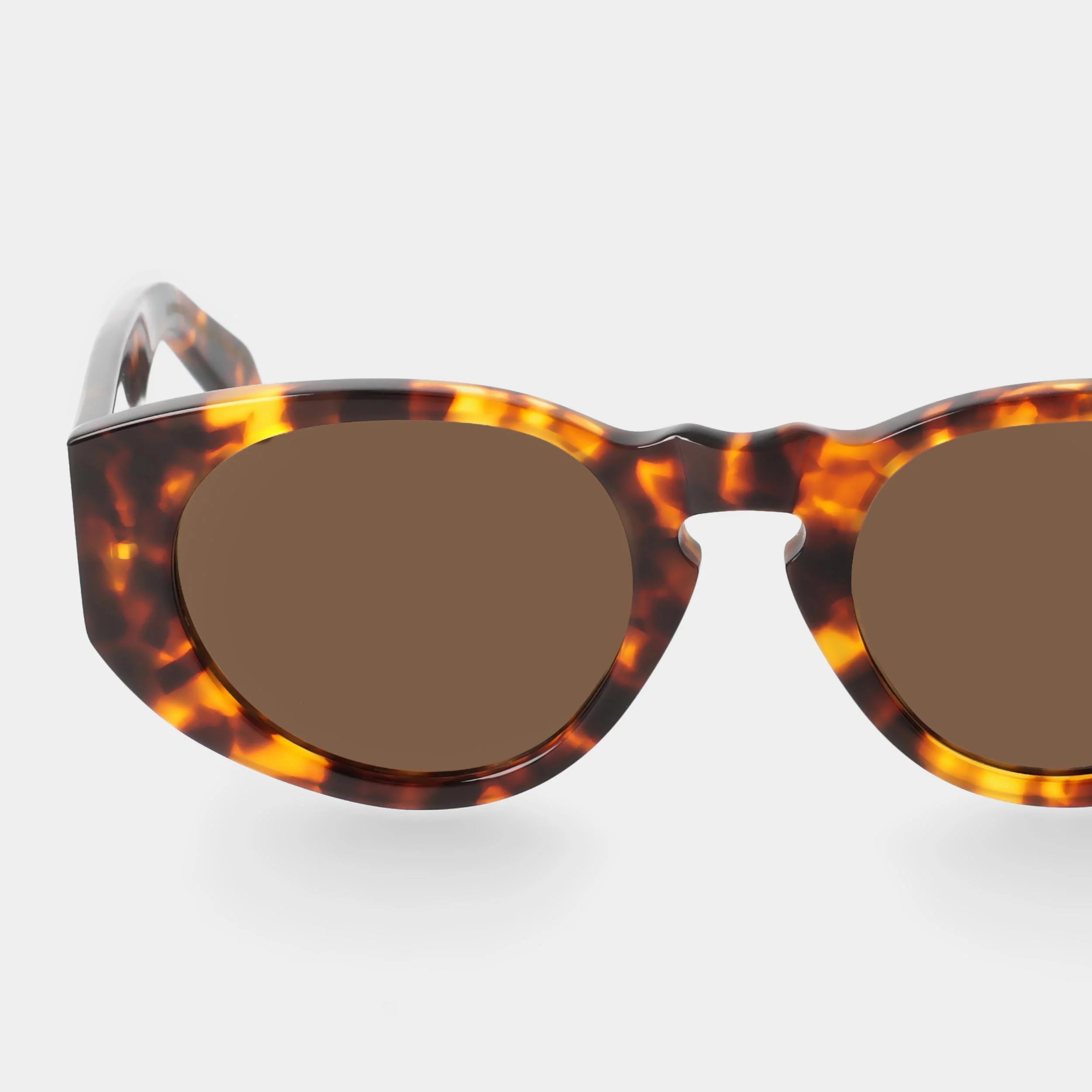 TBD Eyewear Madras Eco Spotted Havana Tobacco Lens Sunglasses Detail